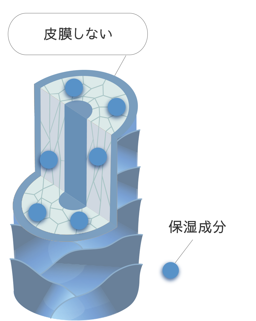 パミロールのトリートメントの図表　保湿成分